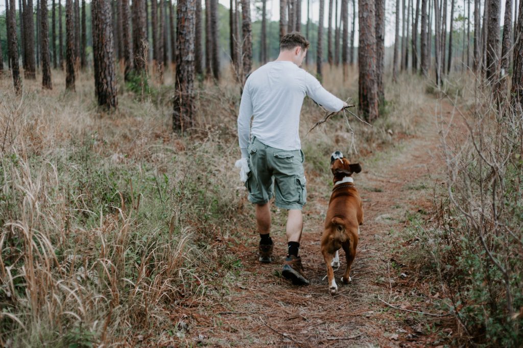 dog hike