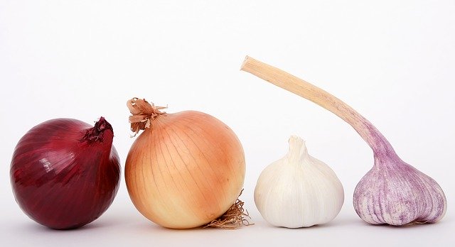 food onions and garlic