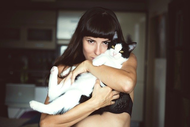 woman holding cat pet happy