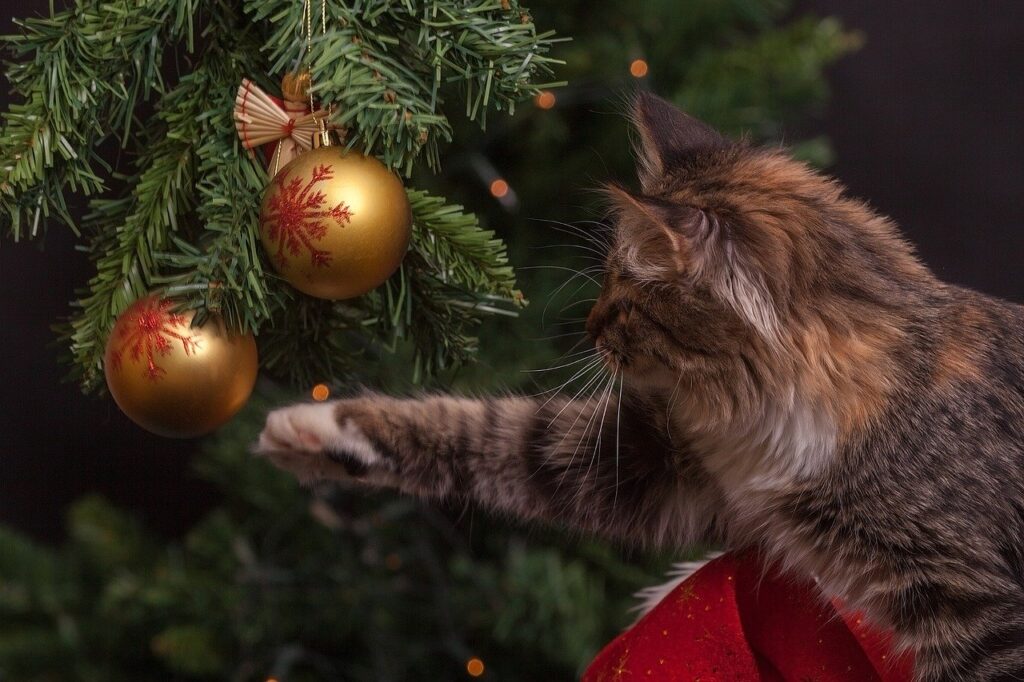 new year's eve, cat, christmas decorations