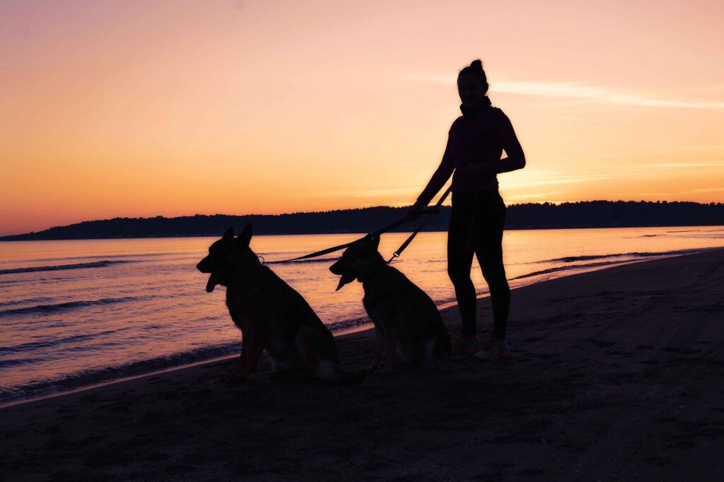 woman silhouette, seaside silhouette, woman