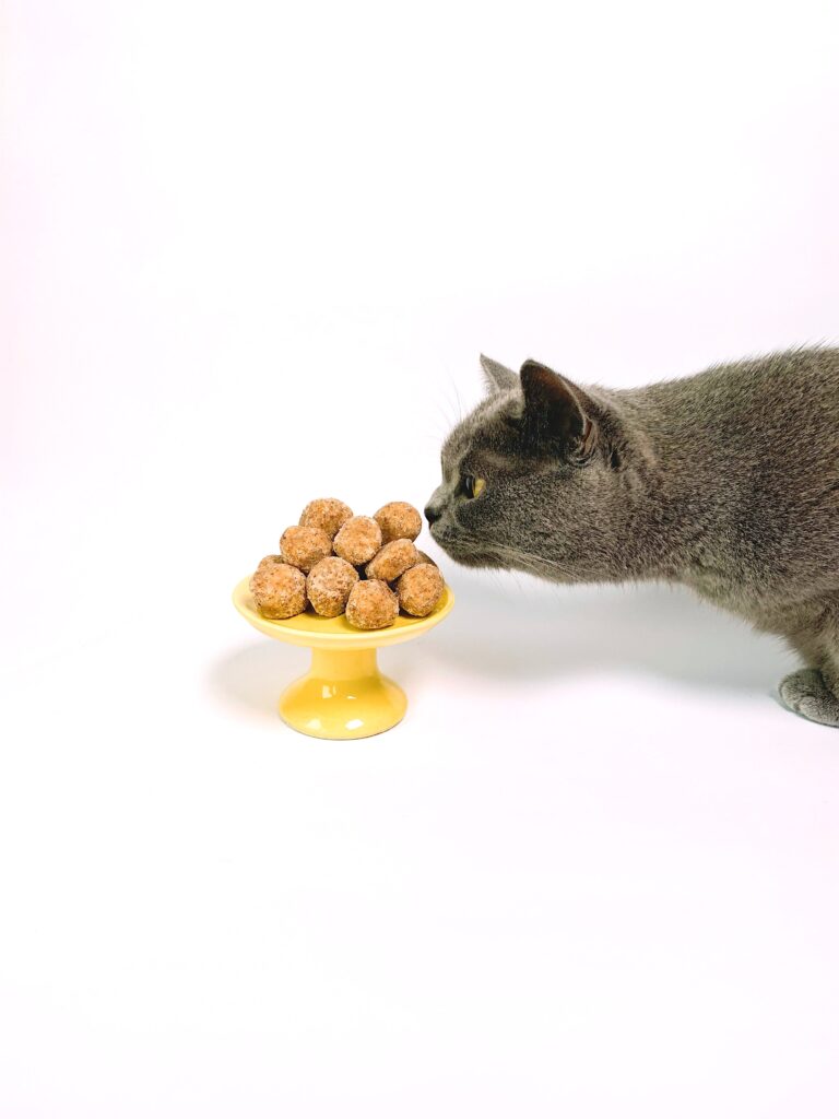 cats sweet food