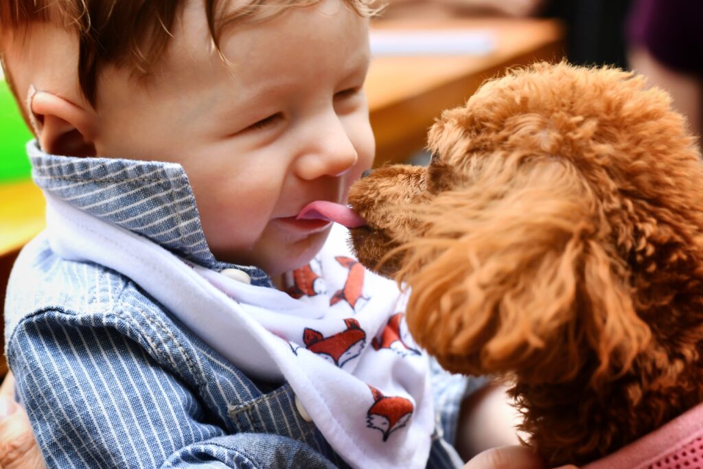 dog kisses humans