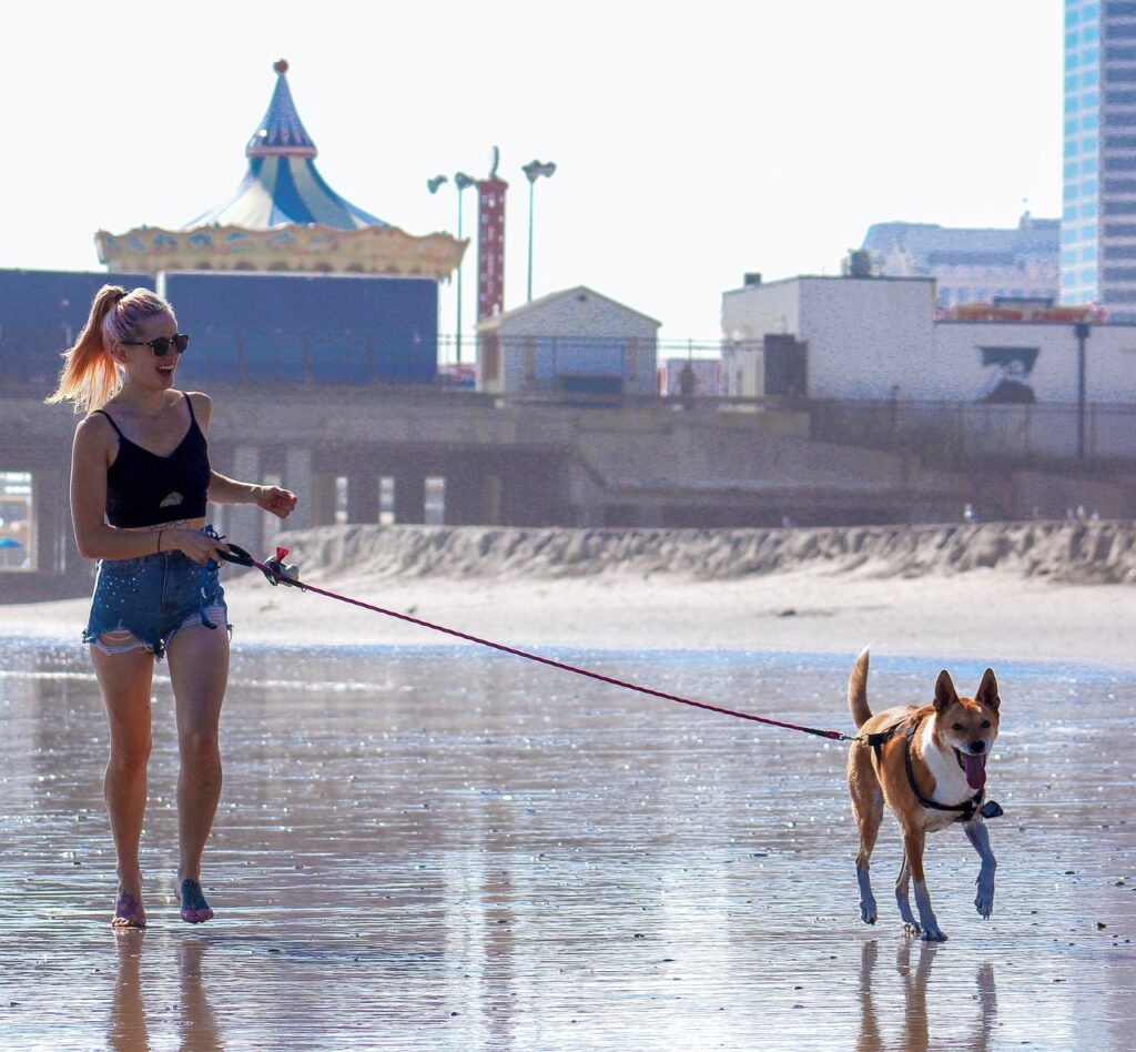 woman and dog, walking the dog, dog walking-3445103.jpg