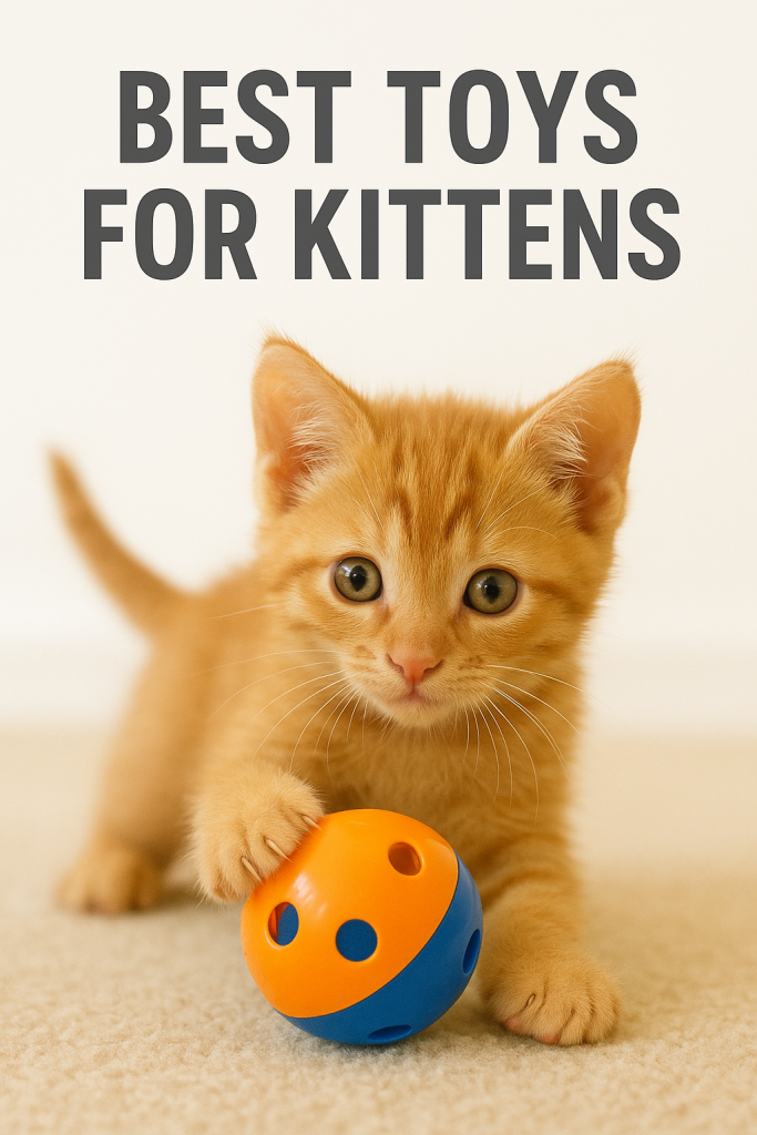 Best Toys for Kittens